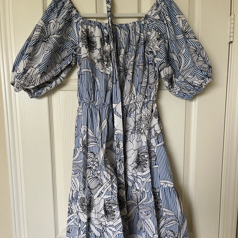 Zara dress